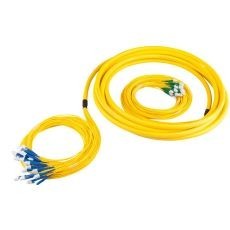 Breakout-SM12-E2000/APC-LC/PC-005 